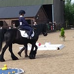 a person riding a horse