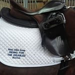 A saddle