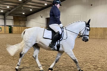 A person riding a horse