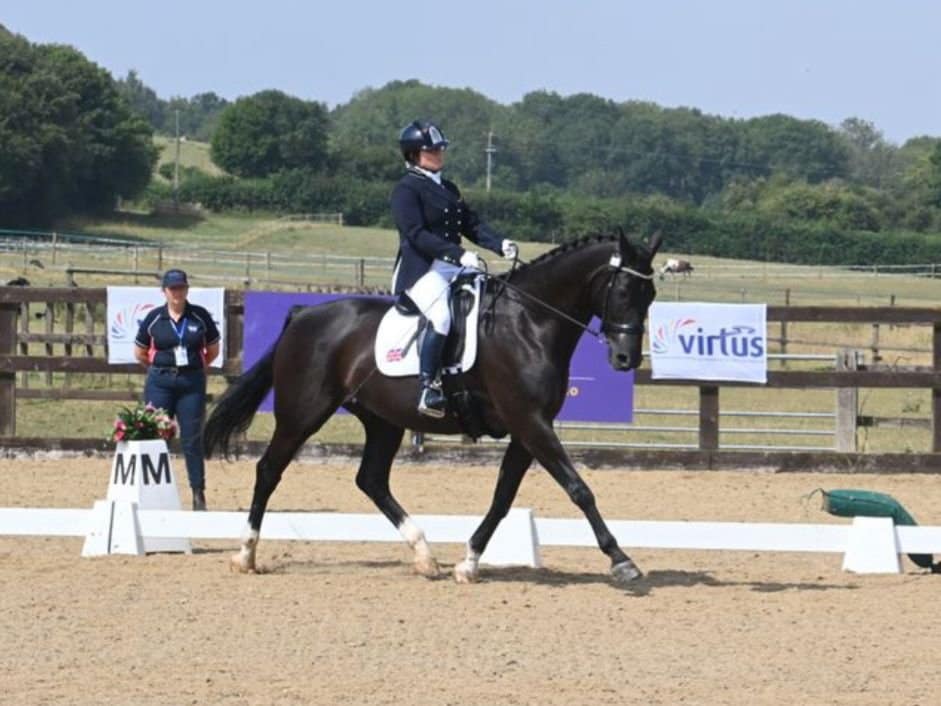 person on a horse performing dressage